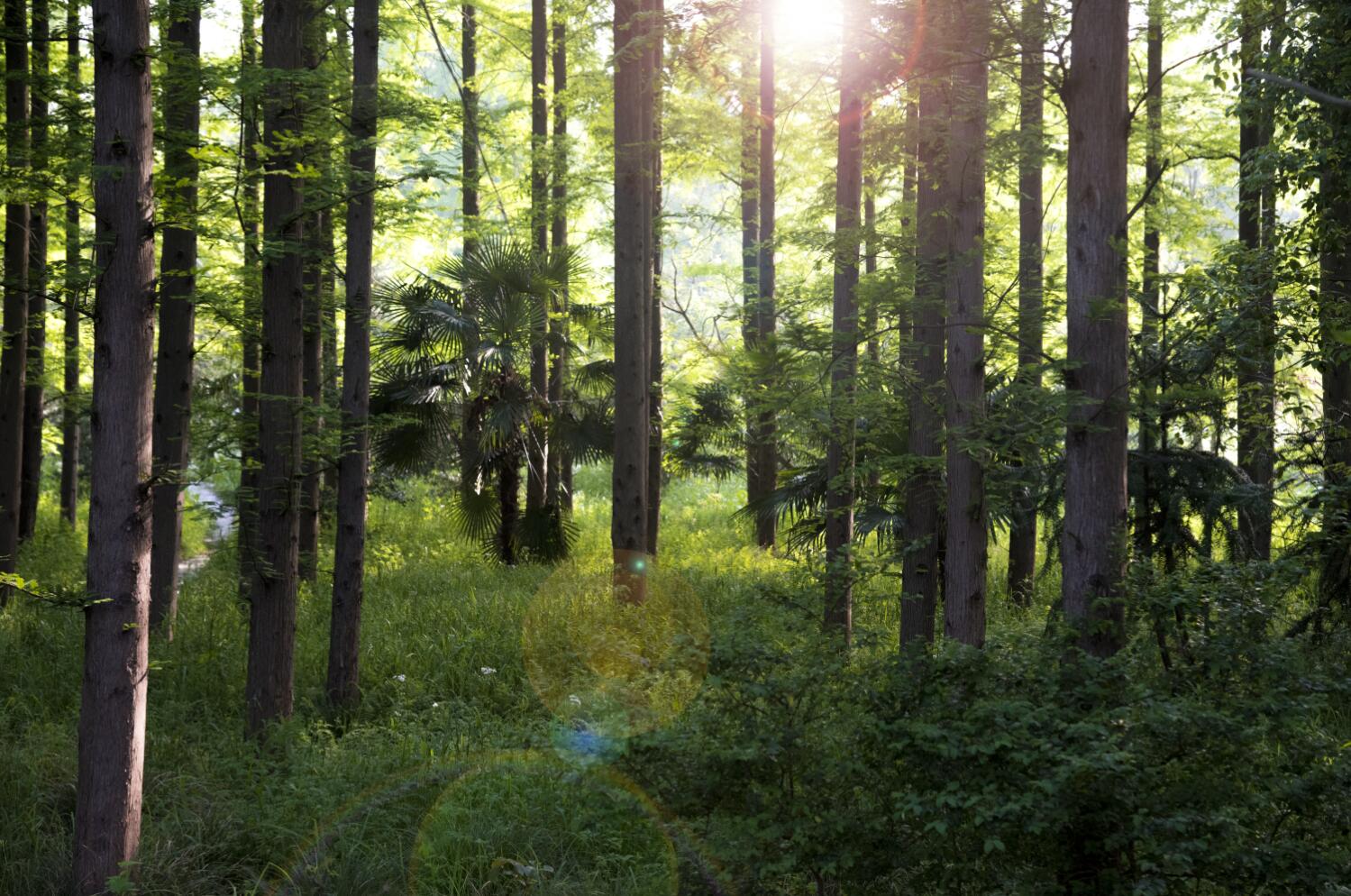 旅游景點vi設計現(xiàn)存的問題