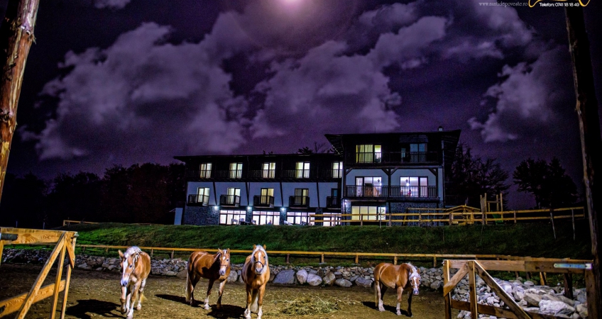 羅馬尼亞Potcoava mountain度假勝地視覺形象設(shè)計