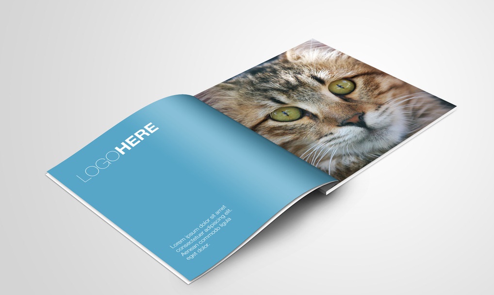 企業(yè)畫冊(cè)設(shè)計(jì)的價(jià)格范圍