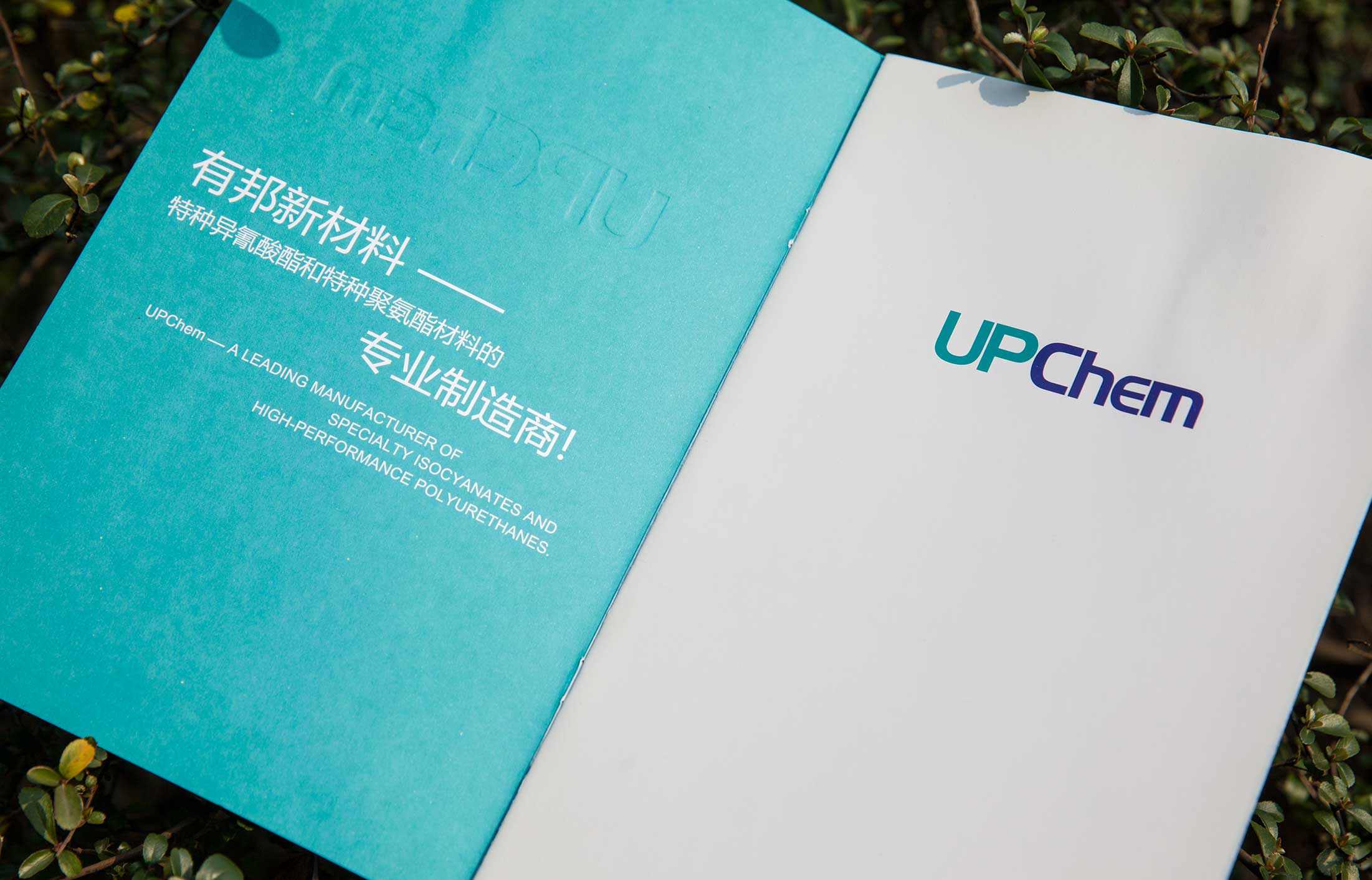 選營(yíng)銷策劃公司的標(biāo)準(zhǔn)