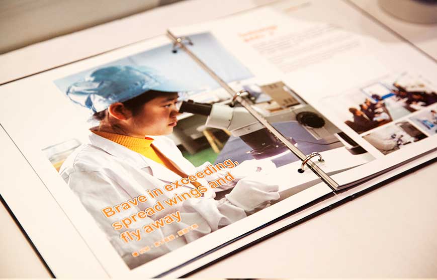 周年慶典產(chǎn)品營(yíng)銷(xiāo)策劃方案案例