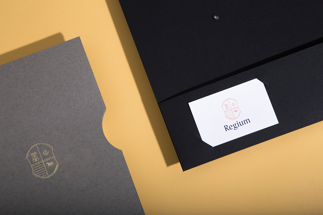 Regium房地產(chǎn)咨詢公司品牌視覺設計