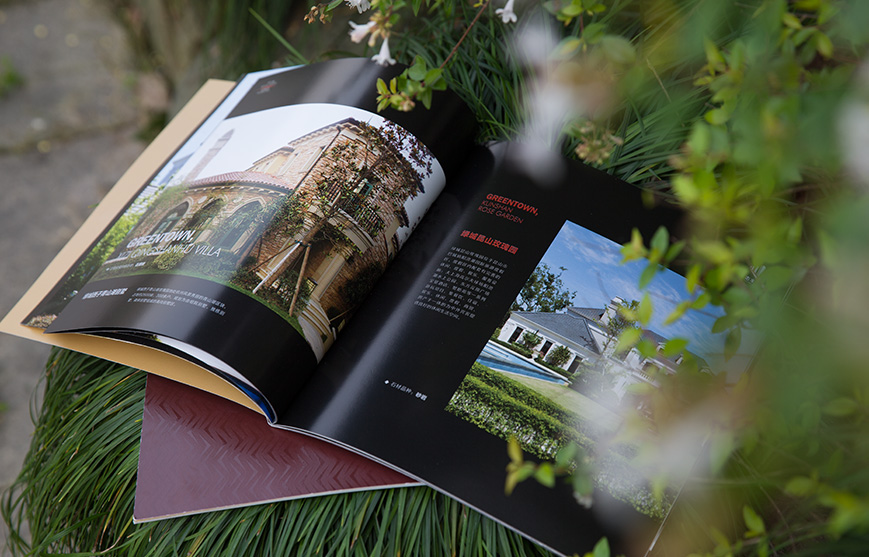 1611899533277020.jpg 5923707.JPG