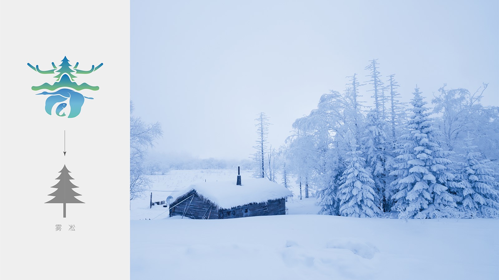 1626845789426782.jpg 1601955586944308.jpg