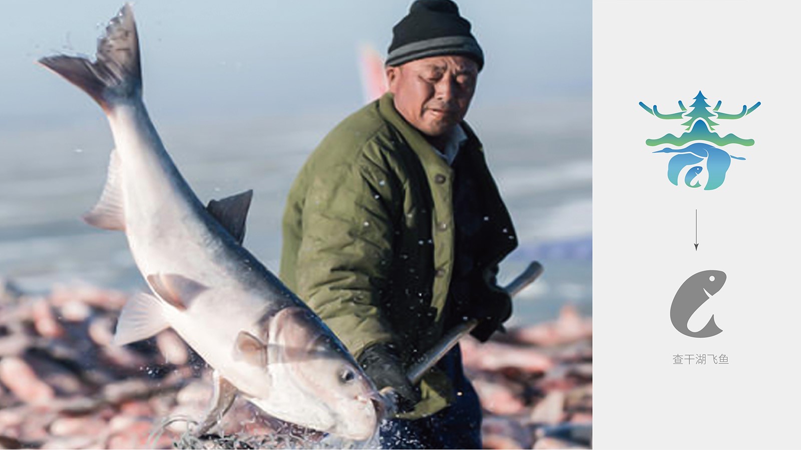 1627355752886596.jpg 1601955587798067.jpg