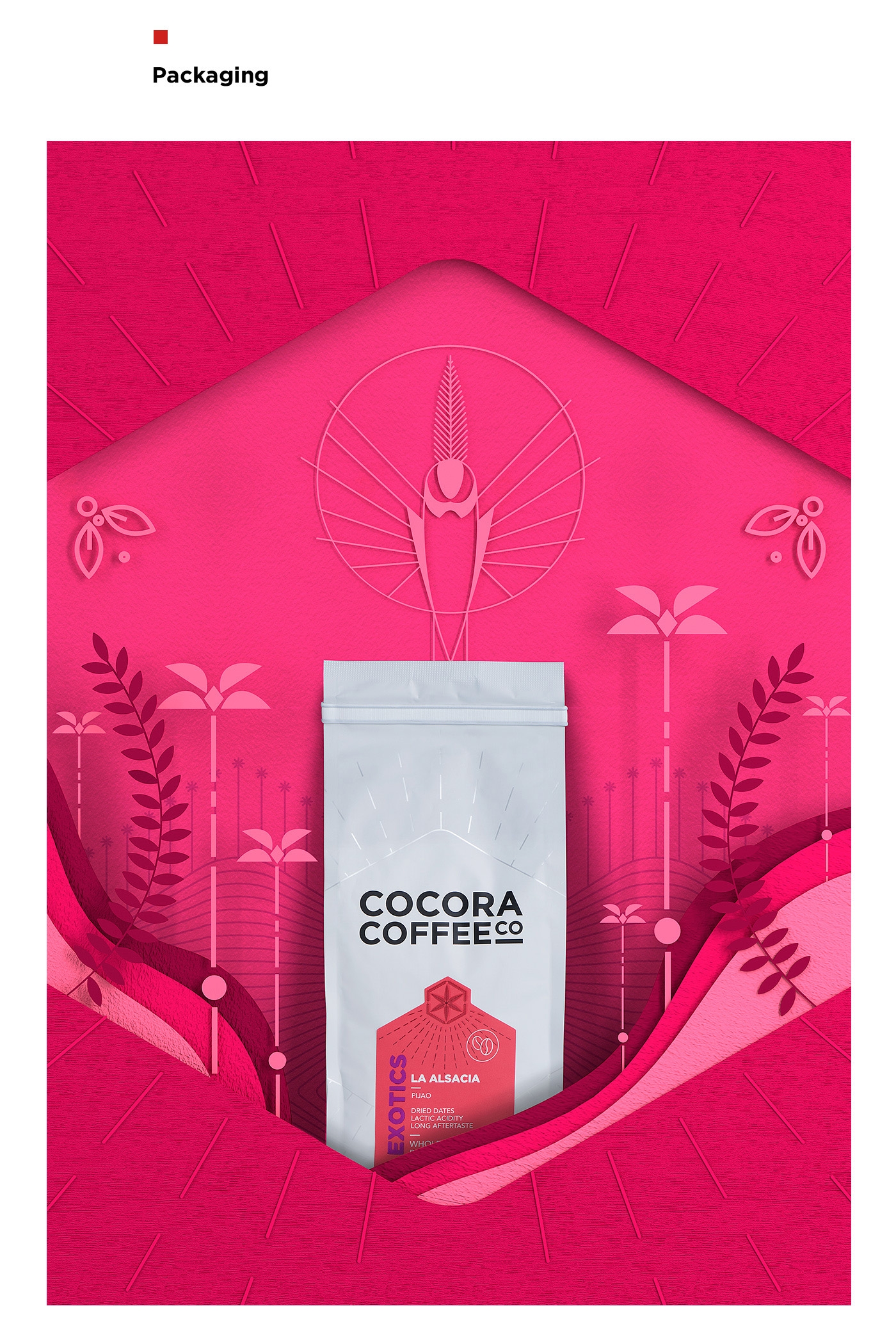 為一個咖啡杯，一個街角咖啡店，做整體的品牌包裝設計