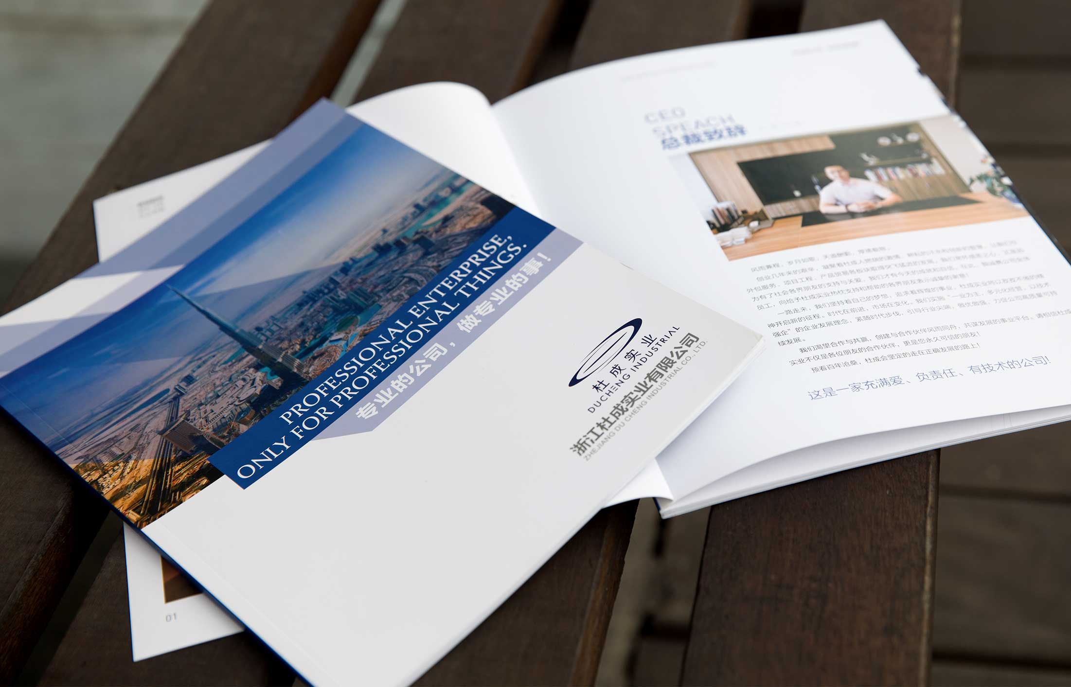 實業公司畫冊設計